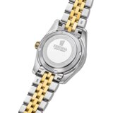 Festina SWISS F20088-1 | Shoptok.si