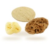 Cose della Natura osnovni set za obraz | Shoptok.si
