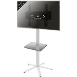 MID.YOU Nosilec Za Tv Xila | Shoptok.si