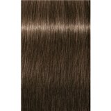 Schwarzkopf igora Royal - 6-00 temno blond ekstra natur, 60 ml Cene