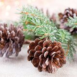 Homéa Ubrusi u setu 20 kom 33x33 cm Noel – Cijene