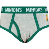 Licensed Boys briefs Minions 3P Frogies | Eponuda.ba