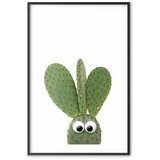  Plakat Eared Cactus 60x90 Crni okvir s margom | shoptok.hr