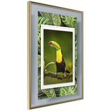  Poster - Toucan in the Frame 20x30 | shoptok.hr