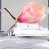  Tapeta - A lonely magnolia flower 200x154 Cijene