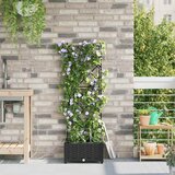 Vrtna saksija Crna 40 x 40 x 126 cm Plastika | Eponuda.com