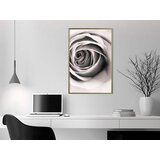  Poster - Structure of Petals 20x30 | shoptok.hr