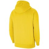 Nike Team Park 20 Hoodie žuta | shoptok.hr