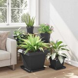  Kvadratna cvetlična posoda 6 pcs Črna 43 x 43 x 33,5 cm, (5000207496) | Shoptok.si