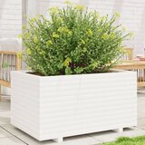 vidaXL Vrtno cvetlično korito belo 90x60x49,5 cm trdna borovina Cene