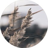 Malerifabrikken Slika ø 40 cm Mellow Grasses 3 – | shoptok.hr