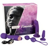 Magic Shiver Women Love Toy Starter Set Feminine Purple Cijene