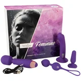 Women Love Toy Starter Set Feminine Purple