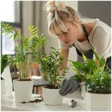  LED prigušiva stona lampa za uzgoj biljaka VERDI LED/5W/5V 1300K bela | Eponuda.com