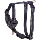 Rogz control am za pse sa postavljenim grudnjakom m — obim grudi 32–52 cm plava | Eponuda.com