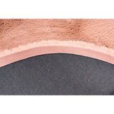 Kayoom PREPROGA Z VISOKIM FLOROM Rabbit Light 525 Creme taftano krem barve | Shoptok.si