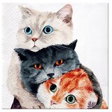  Decoupage salvete - Better Together - 1kom (tehnika salveta) KORIŠTENO Cijene
