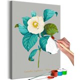  Slika za samostalno slikanje - Beautiful Camellia 40x60 | shoptok.hr