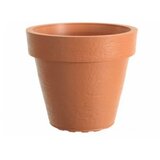 Dimartino SAKSIJA TAGO 50 TERACOT V50 | ePonuda.com