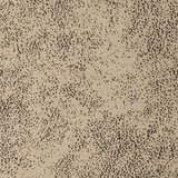  Trpezarijske stolice 2 pcs Svjetlosiva 57 x 67 x 95 cm | shoptok.hr