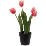 Ixia Umetna rastlina (višina 31 cm) Tulips – Cene