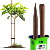 KADAX Impregniran lesen kol za podporo dreves 150 cm premera 23 mm, (5000362452) | Shoptok.si