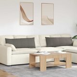  Jastučići za sofu 2 pcs Svijetlo siva 120 x 40 cm | shoptok.hr