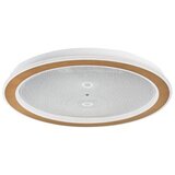 Rabalux Efrael 71282 LED plafonjera Cene