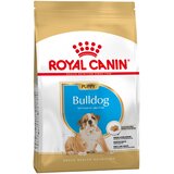 Royal Canin Bulldog Puppy - Varčno pakiranje: 2 x 12 kg | shoptok.hr