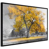  Poster - Golden Tree 45x30 Cijene