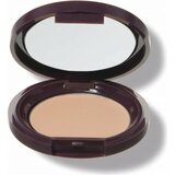 100% Pure Fruit Pigmented Long Last Concealer with Super Fruits - White Peach (light) Cene