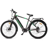 eBike t100
