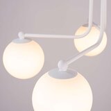  Lestenec ASTRAL 5 beli, (21626983) | Shoptok.si