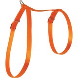 Zolux 546 132ORA Am Nylon Za Mace Narandžasti Cene