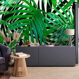  Foto tapeta - Tropical Leaves 100x70 | shoptok.hr