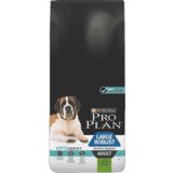 Pro Plan Large Robust Adult, 14 kg