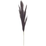  Rezano cvijeće grana pampas 110 cm 63450830 Cijene