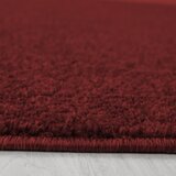 Ayyildiz Carpets Bordo rdeča preproga 80x150 cm Ata – | Shoptok.si