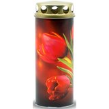 EKOVITA lampion Tulipan S (Crvene boje) Cijene