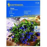KIEPENKERL Sjeme začinskog bilja Miloduh (Hyssopus officinalis, Vrijeme sjetve: Ožujak, Berba: Svibanj) | shoptok.hr