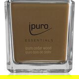 IPURO Essentials Cedar Wood mirisna svijeća 125 g | shoptok.hr