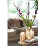 Light & Living Stakleni svijećnjak za svijeću lučicu Morita – | shoptok.hr
