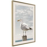  Poster - Curious Seagull 30x45 | shoptok.hr