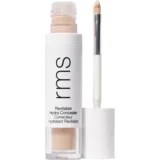 Revitalize Hydra Concealer - C02