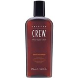 American Crew Gray šampon za sedu kosu 250ml | ePonuda.com