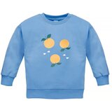 Pinokio Sweatshirt Fruit&Sun Cene