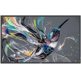 Philips Q-Line 43BDL3511Q 18/7/UHD/400cd | shoptok.hr