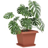  Saksije za biljke 6 pcs Crvena cigla 43 x 43 x 33,5 cm Plastika | shoptok.hr