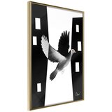  Poster - Caught in Flight 30x45 Cijene