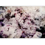 Fototapeta Home Flowerbed, 450x315cm